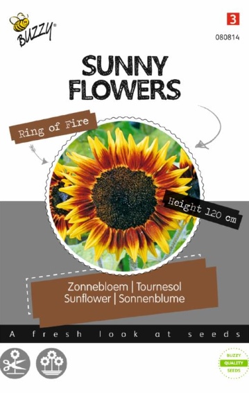 Sunflower Ring of Fire (Helianthus) 25 seeds BU